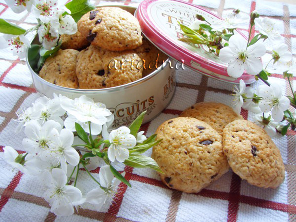 Biscotti allo yogurt con scaglie di cioccolato