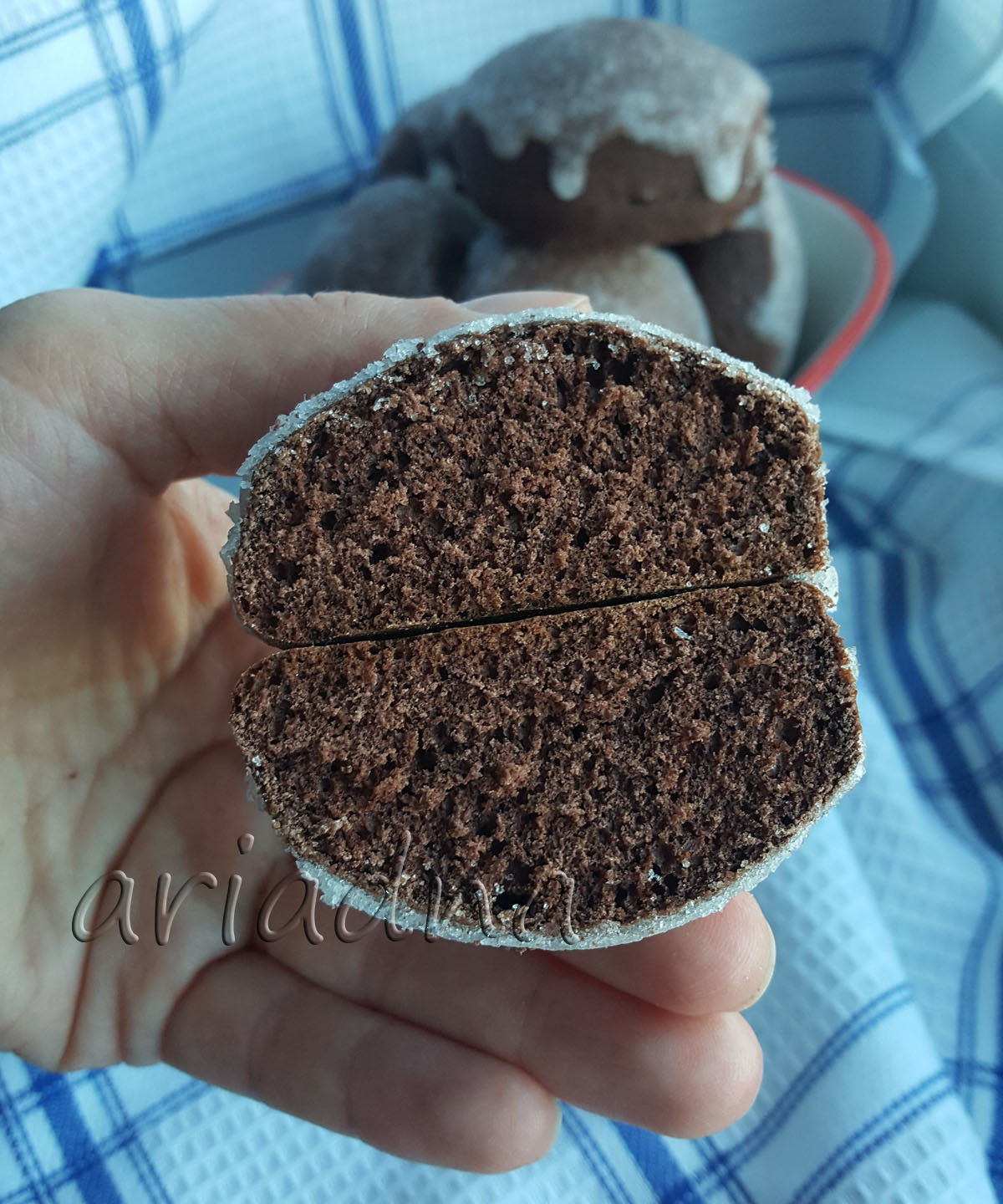 Шоколадные пряники с сахарной глазурью